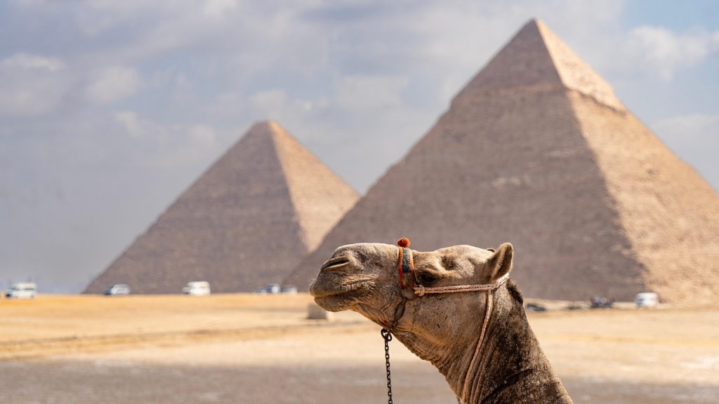 Kamele und Pyramiden kann man in Ägypten sehen, wenn man mit VisumTravel sein eVisum für die Arabische Republik beantragt hat.